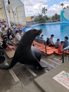 南知多ビーチランド＆南知多おもちゃ王国に投稿された画像（2021/8/2）