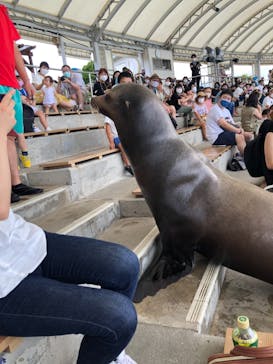 南知多ビーチランド＆南知多おもちゃ王国に投稿された画像（2021/8/2）