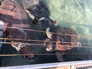 南知多ビーチランド＆南知多おもちゃ王国に投稿された画像（2021/8/2）