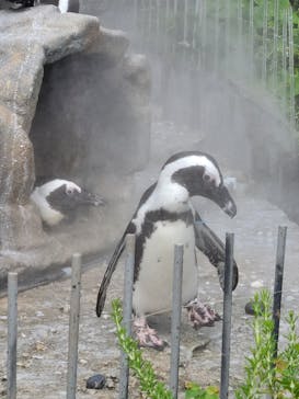 サンシャイン水族館に投稿された画像（2021/8/2）