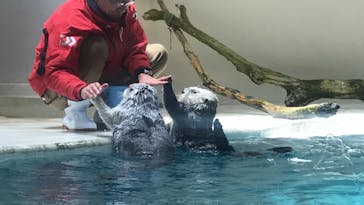 鳥羽水族館に投稿された画像（2021/8/2）