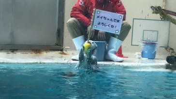 鳥羽水族館に投稿された画像（2021/8/2）