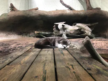 仙台うみの杜水族館に投稿された画像（2021/8/2）