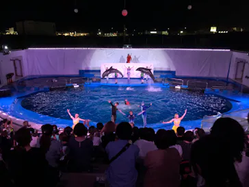 仙台うみの杜水族館に投稿された画像（2021/8/2）