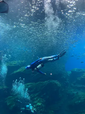 仙台うみの杜水族館に投稿された画像（2021/8/2）