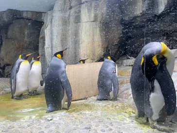 仙台うみの杜水族館に投稿された画像（2021/8/2）