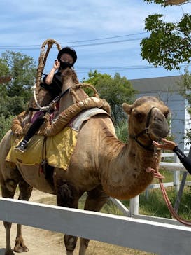 神戸どうぶつ王国に投稿された画像（2021/8/3）