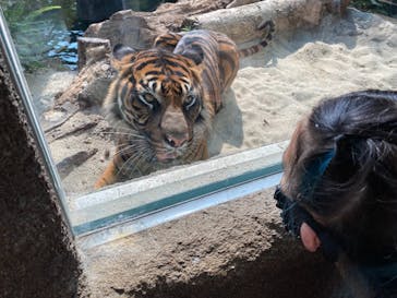 神戸どうぶつ王国に投稿された画像（2021/8/3）