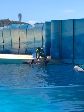 新江ノ島水族館に投稿された画像（2021/8/3）