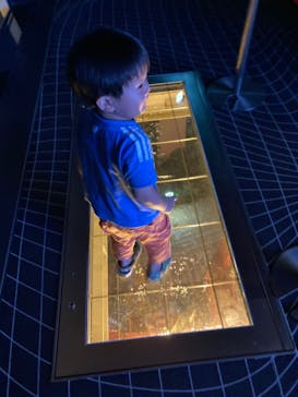 東京タワーに投稿された画像（2021/8/3）