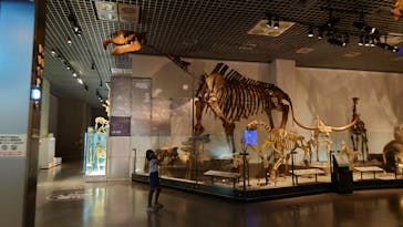 国立科学博物館に投稿された画像（2021/8/3）