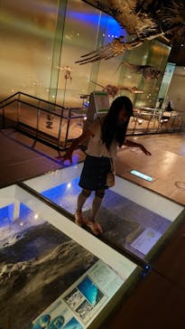 国立科学博物館に投稿された画像（2021/8/3）