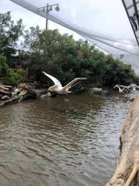 神戸どうぶつ王国に投稿された画像（2021/8/3）