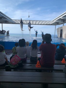 上越市立水族博物館 うみがたりに投稿された画像（2021/8/3）