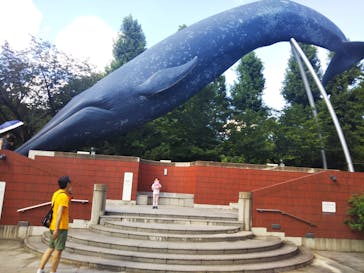 国立科学博物館に投稿された画像（2021/8/3）