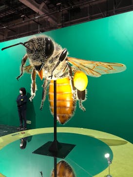 特別展「昆虫」(名古屋市科学館)に投稿された画像（2021/8/3）