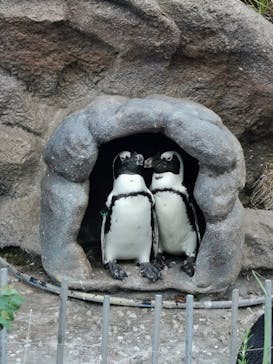 サンシャイン水族館に投稿された画像（2021/8/3）