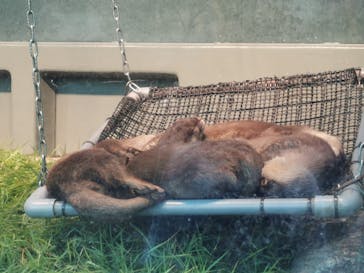 サンシャイン水族館に投稿された画像（2021/8/3）