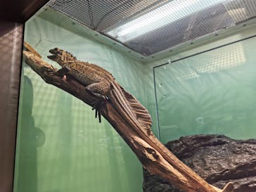 サンシャイン水族館に投稿された画像（2021/8/3）