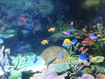 サンシャイン水族館に投稿された画像（2021/8/3）