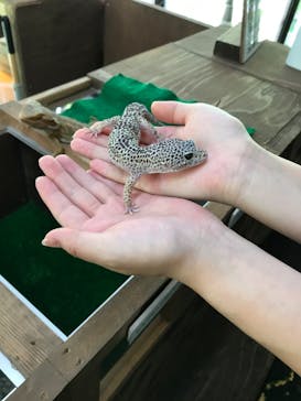 体感型動物園iZooに投稿された画像（2021/8/3）