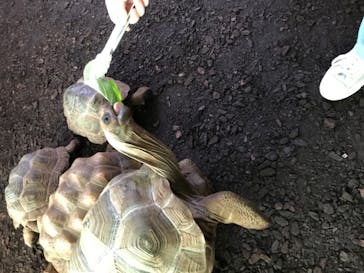 体感型動物園iZooに投稿された画像（2021/8/3）