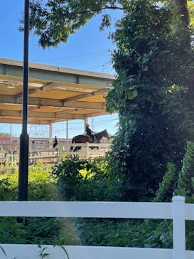 東武動物公園に投稿された画像（2021/8/3）