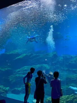 仙台うみの杜水族館に投稿された画像（2021/8/3）