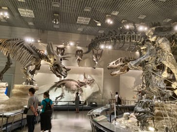 国立科学博物館に投稿された画像（2021/8/3）