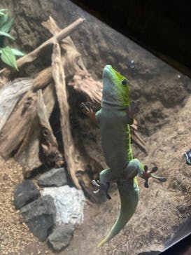 マクセル アクアパーク品川に投稿された画像（2021/8/3）