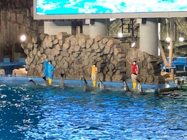名古屋港水族館に投稿された画像（2021/8/3）