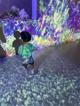 マクセル アクアパーク品川に投稿された画像（2021/8/3）