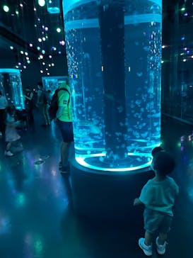 マクセル アクアパーク品川に投稿された画像（2021/8/3）