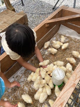 しろとり動物園に投稿された画像（2021/8/3）