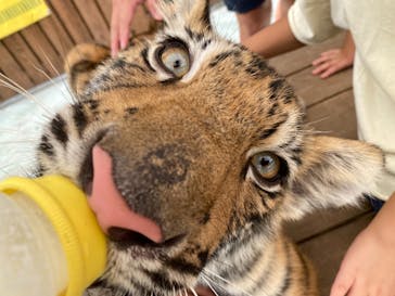 しろとり動物園に投稿された画像（2021/8/3）