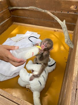 しろとり動物園に投稿された画像（2021/8/3）