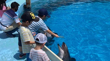 マリンワールド海の中道に投稿された画像（2021/8/3）