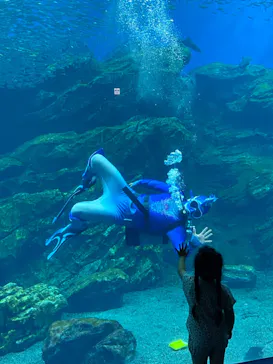仙台うみの杜水族館に投稿された画像（2021/8/3）