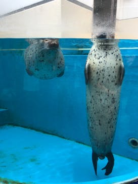 鳥羽水族館に投稿された画像（2021/8/3）