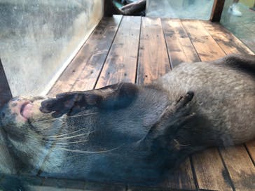 鳥羽水族館に投稿された画像（2021/8/3）