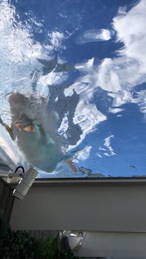 サンシャイン水族館に投稿された画像（2021/8/4）