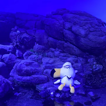 横浜・八景島シーパラダイスに投稿された画像（2021/8/4）