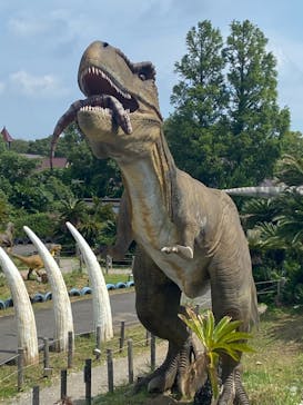 伊豆ぐらんぱる公園に投稿された画像（2021/8/4）