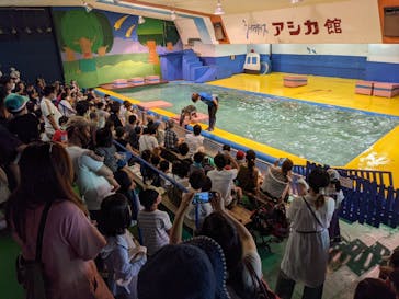 ゼロ距離水族館 伊勢シーパラダイスに投稿された画像（2021/8/4）