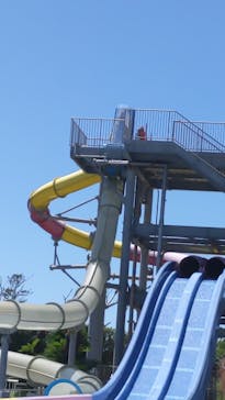 蓮沼ウォーターガーデンに投稿された画像（2021/8/4）