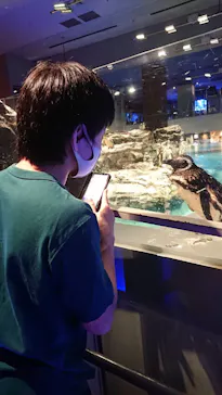 すみだ水族館に投稿された画像（2021/8/4）