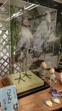 伊豆シャボテン動物公園に投稿された画像（2021/8/4）