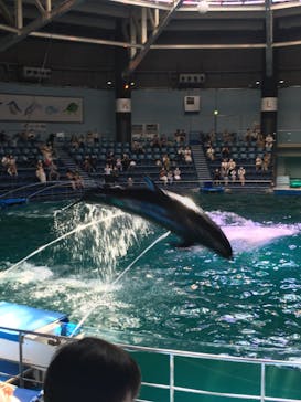 マクセル アクアパーク品川に投稿された画像（2021/8/4）