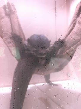 マクセル アクアパーク品川に投稿された画像（2021/8/4）