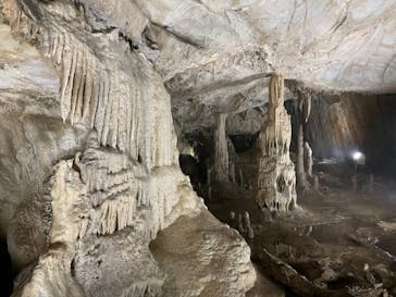 あぶくま洞に投稿された画像（2021/8/4）